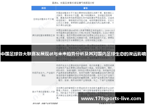 中国足球各大联赛发展现状与未来趋势分析及其对国内足球生态的深远影响